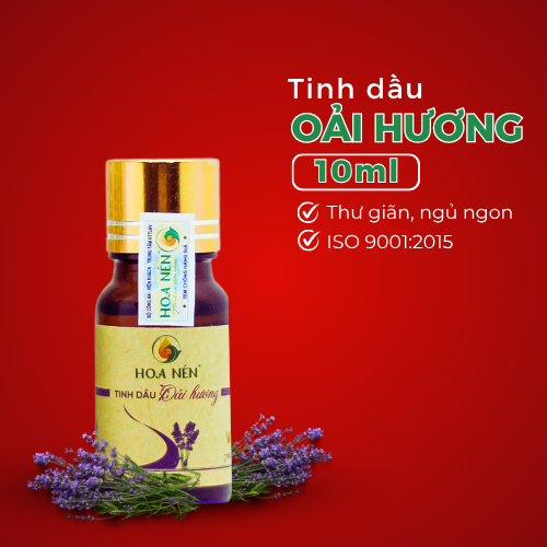 HOA NÉN - Tinh dầu oải hương (10ml)